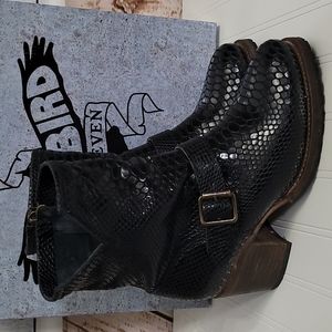 Freebird by Steven Carlito Snakeskin Black Size 8